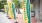 yellow and green Feather flags with fresh thyme market on them